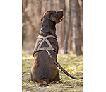 Laisse pour chien  Jade