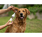 Nettoyant oreilles pour chien  Listen Up