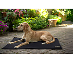 Coussin thermique pour chien  Ceramic Rehab