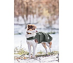 Manteau de randonnée en softshell pour chien  Athlete, 0 g