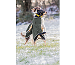 Manteau de randonnée en softshell pour chien  Athlete, 0 g