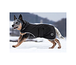 Manteau de randonnée en softshell pour chiens  Athlete, 0 g