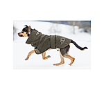 Manteau de pluie pour chien  Everglades, 0 g