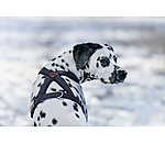 Harnais pour chien  Piper