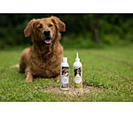 Shampoing pour chien  Sensitive Care