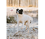 Jouet pour chien avec couineur   Unicorn