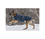 Manteau pour chien matelass� avec LED  Arlo, 300 g