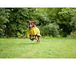Manteau de pluie pour chien  Thousand Islands, 0 g