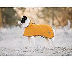 Manteau de pluie pour chien  Thousand Islands, 0 g