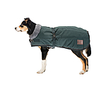 Manteau d'hiver pour chien avec doublure en fourrure Teddy  Gizmo, 200 g