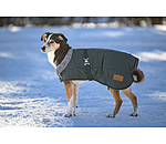 Manteau d'hiver pour chien avec doublure en fourrure Teddy  Gizmo, 200 g