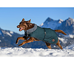 Manteau d'hiver pour chien avec doublure en fourrure Teddy  Gizmo, 200 g