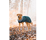 Manteau d'hiver pour chien avec doublure en fourrure Teddy  Gizmo, 200 g