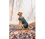 Manteau d'hiver pour chien avec doublure en fourrure Teddy  Gizmo, 200 g