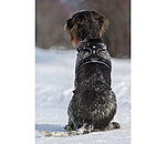 Harnais pour chien  Expedition