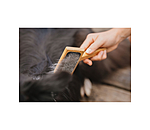 Carde pour chien  Woody