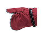 Manteau pour chien softshell avec col polaire  Frida