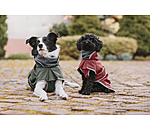 Manteau pour chien softshell avec col polaire  Frida