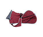 Manteau pour chien softshell avec col polaire  Frida