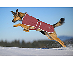 Manteau pour chien softshell avec col polaire  Frida