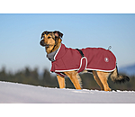 Manteau pour chien softshell avec col polaire  Frida