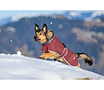 Manteau pour chien softshell avec col polaire  Frida