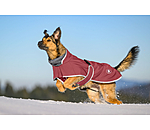 Manteau pour chien softshell avec col polaire  Frida