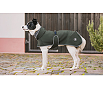 Manteau pour chien softshell avec col polaire  Frida