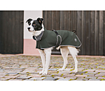 Manteau pour chien softshell avec col polaire  Frida