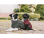 Manteau pour chien softshell avec col polaire  Frida