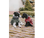 Manteau pour chien softshell avec col polaire  Frida