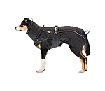 Manteau d'hiver pour chien  Marlon, 200-300 g
