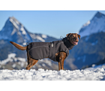 Manteau d'hiver pour chien  Marlon, 200-300 g