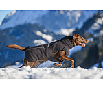 Manteau d'hiver pour chien  Marlon, 200-300 g