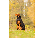 Manteau d'hiver pour chien  Marlon, 200-300 g