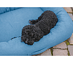 Panier pour chien  Terry