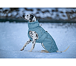 Manteau d'hiver pour chien  Wonderland, 140 g