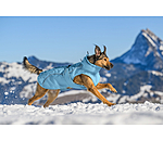 Manteau d'hiver pour chien  Wonderland, 140 g