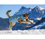 Manteau d'hiver pour chien  Wonderland, 140 g