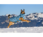 Manteau d'hiver pour chien  Wonderland, 140 g