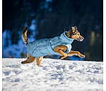 Manteau d'hiver pour chien  Wonderland, 140 g