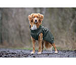 Manteau de pluie pour chien  Forest Drizzle, 50 g