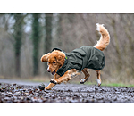 Manteau de pluie pour chien  Forest Drizzle, 50 g