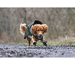 Manteau de pluie pour chien  Forest Drizzle, 50 g