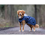 Manteau de pluie pour chien  Forest Drizzle, 50 g