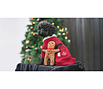 Manteau de Nol en polaire  Santa's Dream