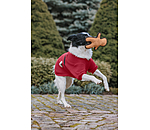 Jouet pour chien  Gingerman