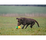 Jouet pour chien  Pineapple