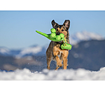 Jouet pour chien  Strong Dino