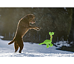 Jouet pour chien  Strong Dino